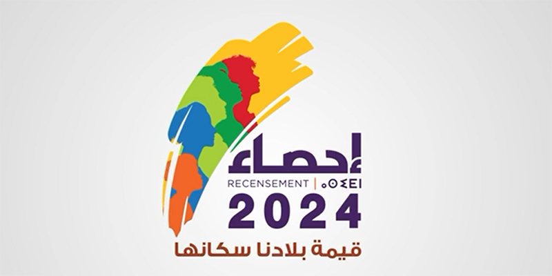 Data Collector (Census 2024 - Morocco)